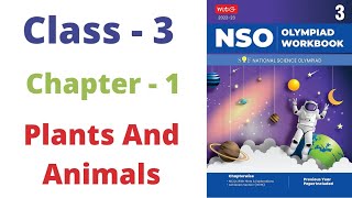 NSO National Science Olympiad Class  3  C  1  Plants and Animals  Sample paper 2022 23 [upl. by Belford]