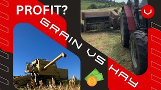 Grain or Hay which makes more Profit [upl. by Polk]