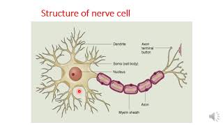 Introduction to autonomic pharmacology [upl. by Kcira]