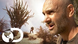 Perdido en las dunas de Madagascar  Ed Stafford al extremo  Discovery Latinoamérica [upl. by Aneeg]