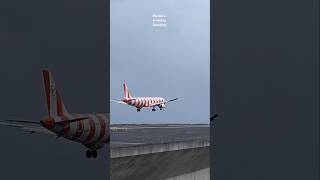 A321 Condor❤️ Red Passion Livery❤️ landing at Madeira Airport aviation condor landing airport [upl. by Josselyn]