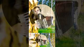 Gdy na wiosnę do wojska ruszałem 4 accordion accordionplayer short piosenkiwojskowe bossmusic [upl. by Ennovyhs1]