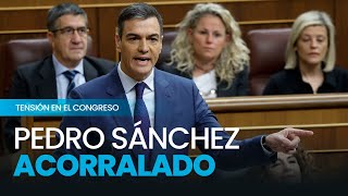 ¿Qué le pasa a Sánchez El presidente evidencia su extrema tensión en el Congreso [upl. by Gnuhn]