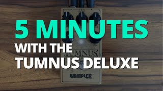 5 Minutes with the Tumnus Deluxe  Pedal Demo [upl. by Letnahc33]