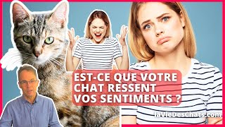 ESTCE QUE VOTRE CHAT RESSENT VOS SENTIMENTS [upl. by Nosila]