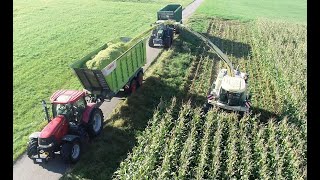 Maishäckseln mit LU Biggel Krone Big X 1100 mit 12 Reihen Maisgebiss Claas Fendt Teil 6 2024 4K [upl. by Pacifica923]