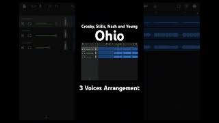 Ohio  Crosby Stills Nash and Young Vocal Harmony [upl. by Larok]