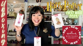 NEW HARRY POTTER HALLMARK ORNAMENTS FOR 2023  First Wave  UNBOXING amp REVIEW✨ [upl. by Atiuqad271]