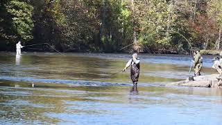 Salmon Run 2024 at Salmon River NY  Salmon fishing 2024 [upl. by Nnaik]