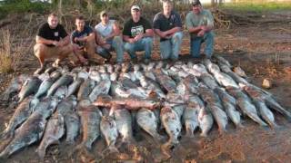 Bowfishing for Giant Bighead Carp in Kentucky [upl. by Rupert980]