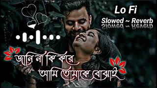 Jani Na Ki Kore Ami Tomake Bojhai Lyrics  জানি না কি করে আমি তোমাকে বোঝাই  SlowedReverb  Lofi [upl. by Beatty378]