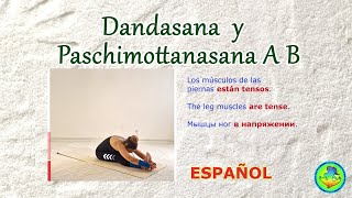 12 Dandasana Paschimottanasana A y D Ashtanga Yoga en ESPAÑOL [upl. by Ariad]