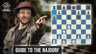 The Najdorf Sicilian  Dojo Repertoire Guide [upl. by Forkey]