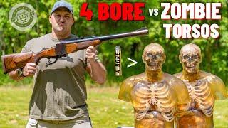 4 BORE Rifle vs Zombie Torsos The Biggest Rifle Ever [upl. by Isia]