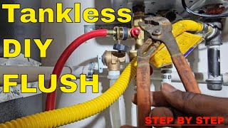 Rinnai Tankless Water Heater  DIY Flush Maintenance [upl. by Ungley]