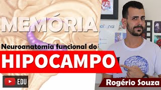 HIPOCAMPO E ÁREAS DE MEMÓRIA Neuroanatomia Funcional Vídeo Aula  Rogério Souza [upl. by Nicki]