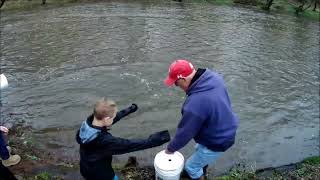 Trout Stocking Tohickon 20240328 [upl. by Eesak530]