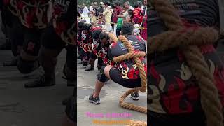 Tug War youtubeshorts family shorts viralvideos tugwar onam npma newplymouth redbull fun [upl. by Hakvir]