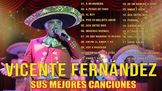 🎶 20 Vicente Fernandez Exitos Mix Rancheras Y Corridos Mexicanas rancherasperronas [upl. by Sunday509]