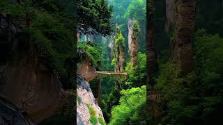 Zhangjiajie🇨🇳 zhangjiajie china asia tips travel information fyp youtubeshorts yt capcut [upl. by Norrie]