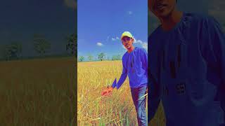 gaon ke sarpanch hey song  like 👍 coment 💬 share 😊 subscribe 🥹 trendingshorts ❤️💖 [upl. by Edlyn240]