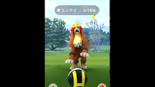 【Pokémon GO Excellent Throw】244 エンテイ Entei [upl. by Ade]