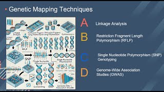 ECOM 6349  Student Participations  Genetic Mapping [upl. by Elvis]