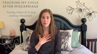 Testing down HCG How Long for HCG to Reach Baseline after Miscarriage TTC after Pregnancy Loss [upl. by Airetahs]