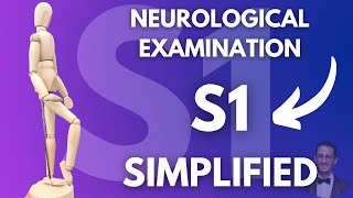 How to Examine S1 Nerve Root Neurological Examination Simplified [upl. by Ellehsar]