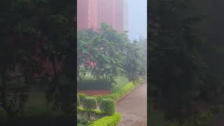 Morning weather in DY Patil agriculture Collegetrendingviral shot [upl. by Percy]