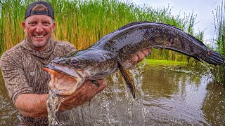 These fish have TAKEN OVER South Florida Catch Clean Cook [upl. by Camey]