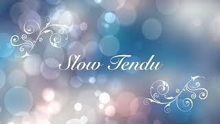 Slow Tendu  Ballet Music [upl. by Adnilreb310]