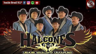 Mix Halcones De San Luis🎶  Los Mejores Exitos Sonido Brasil🎶🎧 [upl. by Farly]