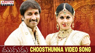 Choosthunna Song  Mogudu Video Songs  Gopichand Taapsee [upl. by Atirys]