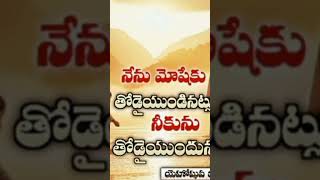 JV Creations Chirakala Snehithuda Jesus Song 🙏🙏🙏❤️❤️❤️ youtube Shorts like [upl. by Ensoll]