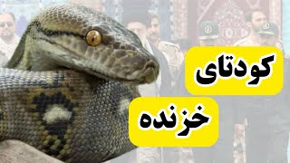 پیمان بهبودی  با حمایت های بی شائبه شما ، ما جدی تر بر ادامه مسیر می اندیشیم❤️🤍💚 [upl. by Ansela]