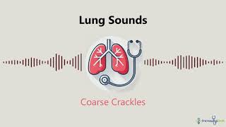 Lung Sounds Coarse Crackles [upl. by Duck]