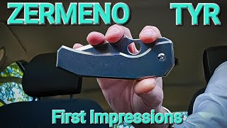 Zermeno Tyr First Impressions [upl. by Jeunesse]