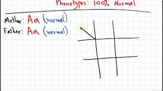 Analysing Punnett Squares [upl. by Laundes]