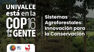 Univalle está en la COP16 de la gente Sistemas Agroforestales Innovación para la Conservación [upl. by Niamrej182]