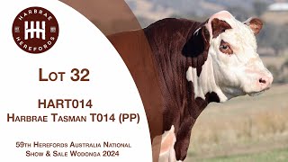 Lot 32 Harbrae Tasman T014 PP [upl. by Arateehc537]