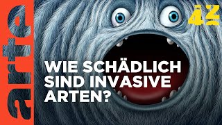 Sind invasive Arten besser als ihr Ruf  42  Die Antwort auf fast alles  ARTE [upl. by Ardaed993]