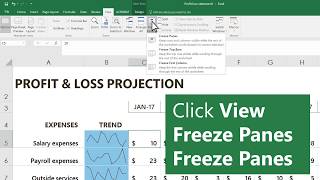 Freeze columns or rows in Microsoft Excel [upl. by Neu]