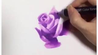 Dessiner une rose avec les feutres alcool Chameleon [upl. by Lainahtan]