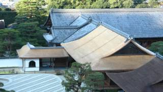 Ginkakuji temple and gardens Kyoto Japan travel video [upl. by Piwowar]