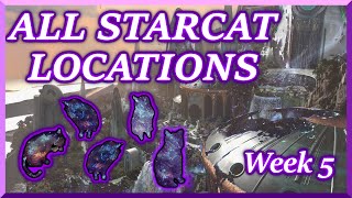 All Starcats for Week 5 Its Bugged Familiar Felines Triumph  Destiny 2 [upl. by Orabelle522]