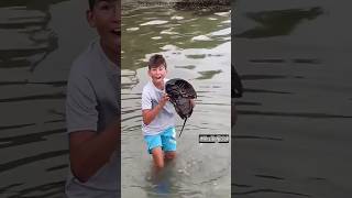 Turtle Worm Found in Water youtubeshorts [upl. by Pantheas]