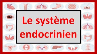 🔴ENDOCRINOLOGIE  LE SYSTÈME ENDOCRINIEN EN 06 MINUTES [upl. by Orrocos]