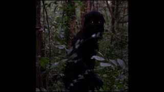 14 PointofView in Uncle Boonmee Who Can Recall His Past Lives Apichatpong Weerasethakul 2010 [upl. by Damiani]