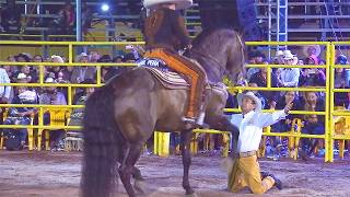 CABALLOS BAILADORES DE EZEQUIEL PEÑA EN HUANDACAREO MICHOACAN 01 DE ENERO 2019 [upl. by Daggna619]